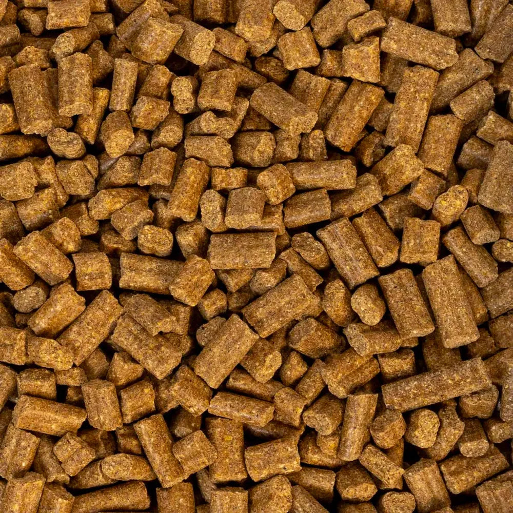 Ozami Lamb Bites – Lammebidder til Hunde 3 kg