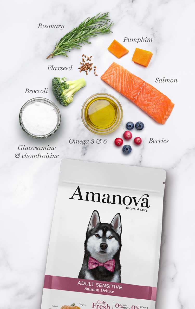 Amanova Luksus Laks Sensitive – Kornfrit fuldfoder til voksne hunde / 2kg eller 10kg