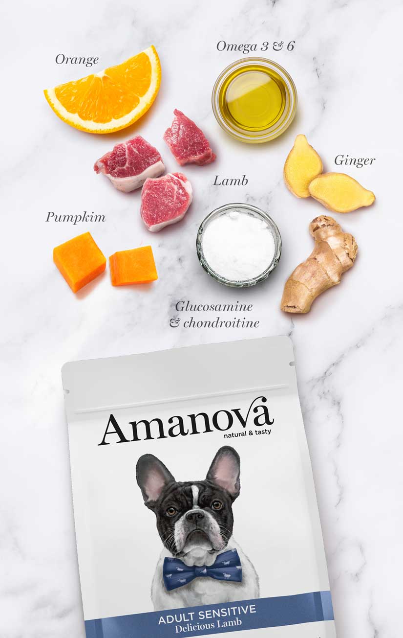 Amanova Velsmagende Lam – Kornfrit voksen hundefoder 2kg
