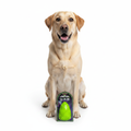 Buddy med Dog Comets Cosmic Egg