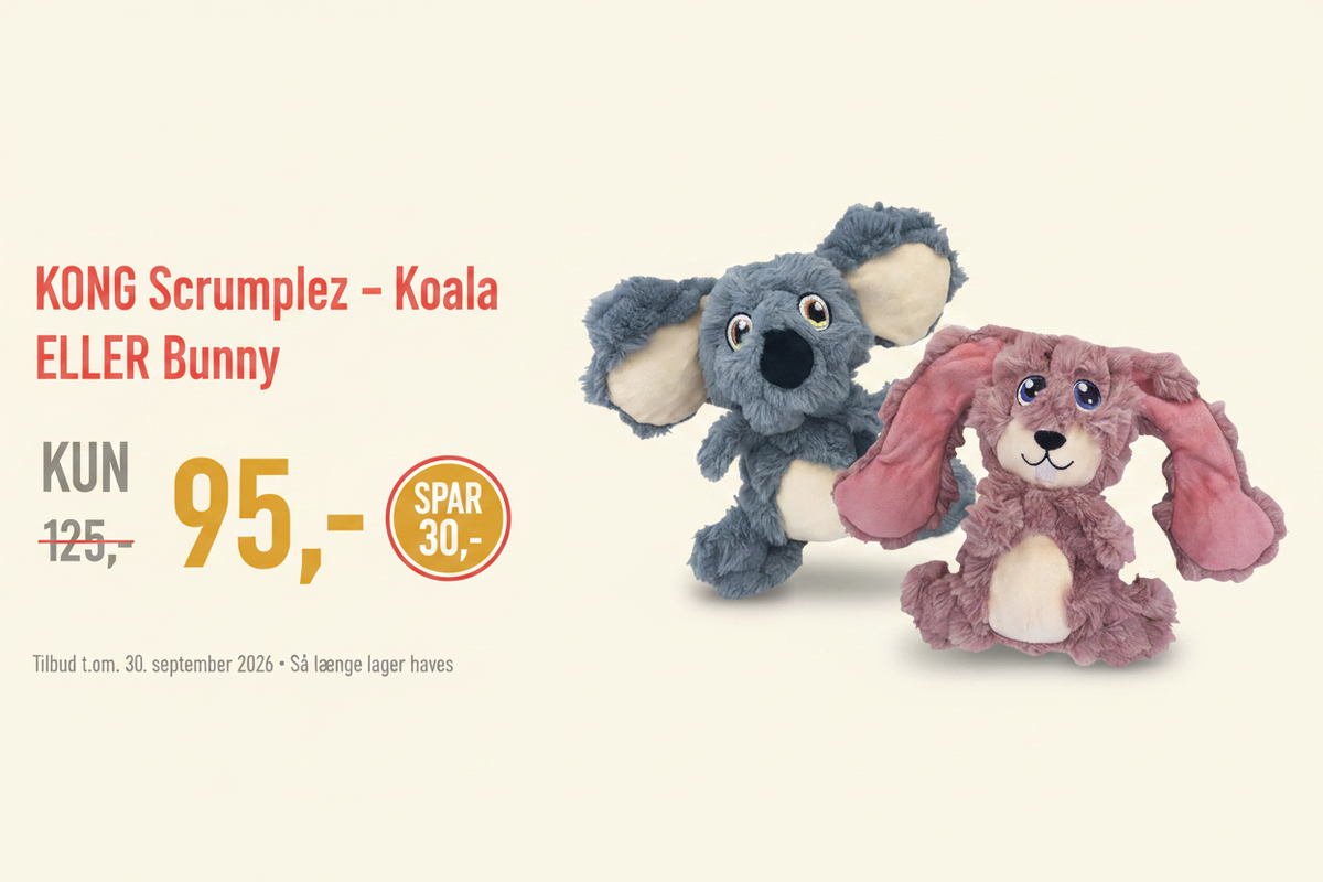 KONG Scrumplez Bredt Banner