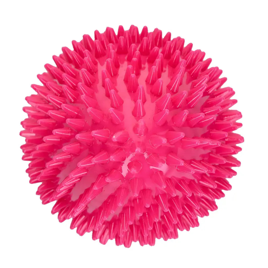 Dog Comets Cosmic Egg Pink L