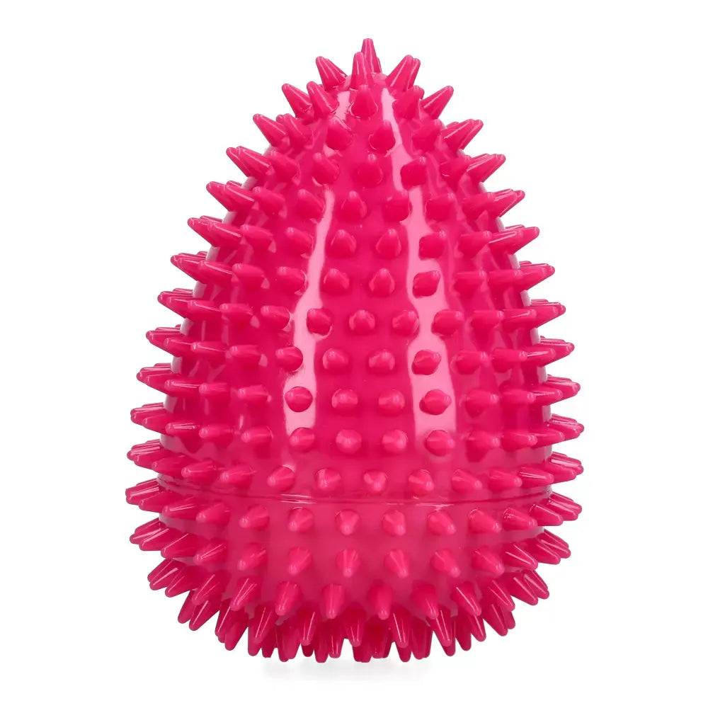 Dog Comets Cosmic Egg Pink L